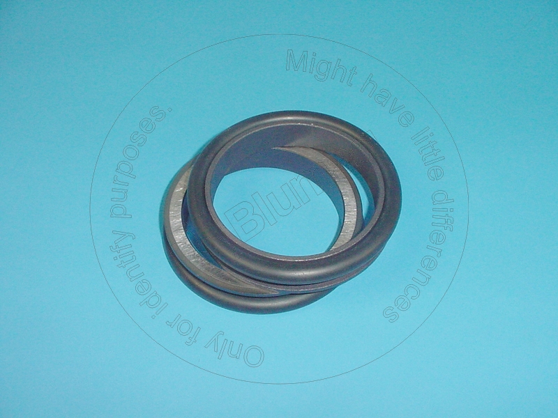 1627863 - SEAL GP-DUO CONE (1119283, 1253267, 111-9283, 125-3267) fits ...