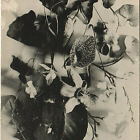 cartepostalesale
